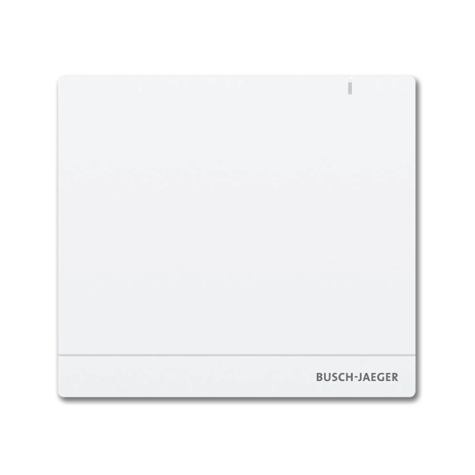 Systeem Access Point 2.0 voor Busch-free@home