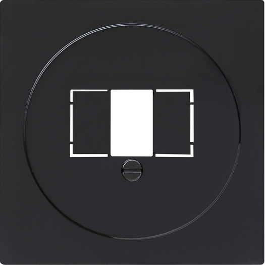 Gira centraalplaat TAE Stereo + USB S-Kleur zwart