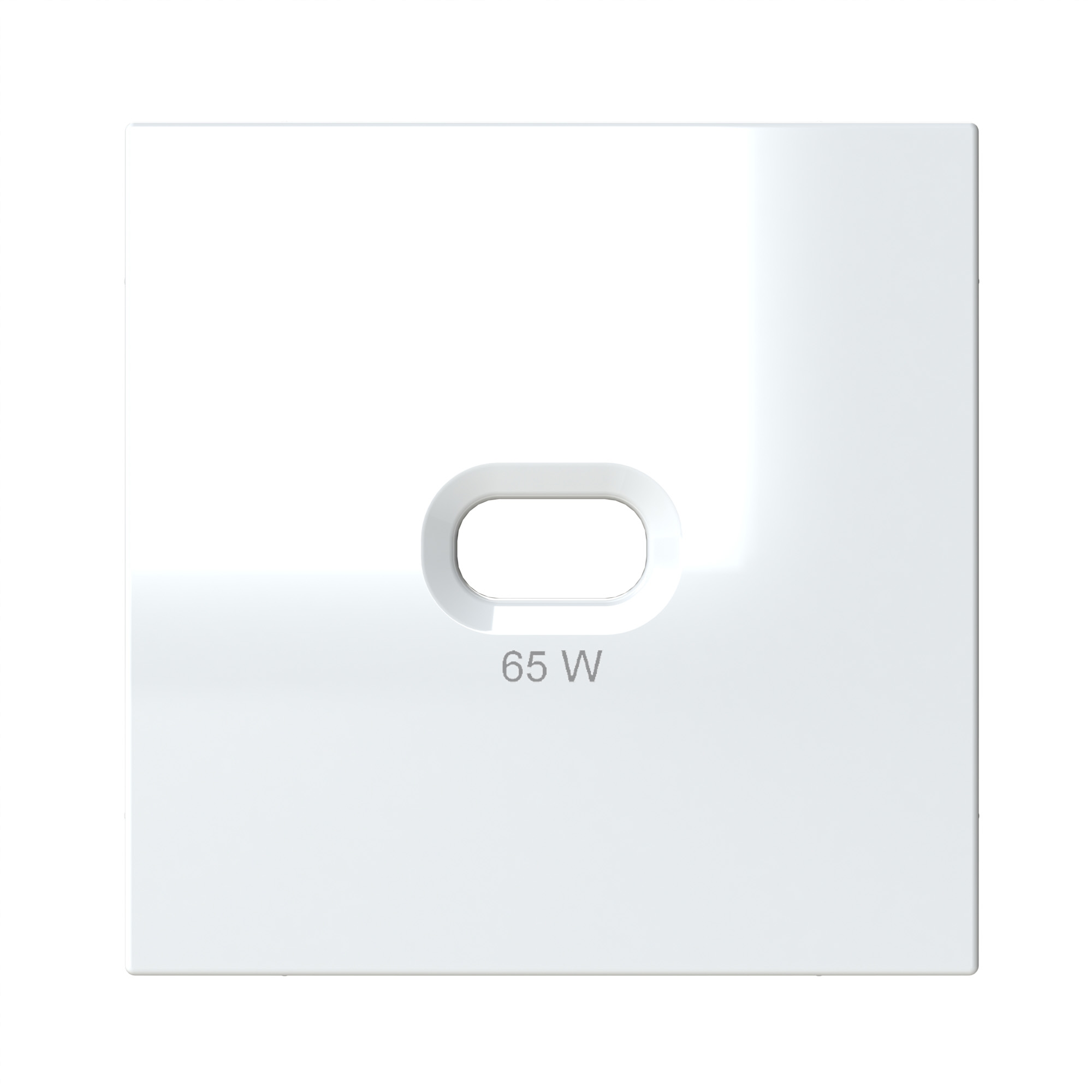OPUS 55 Glanzend polarwit afdekplaat voor USB C wandcontactdoos 65W